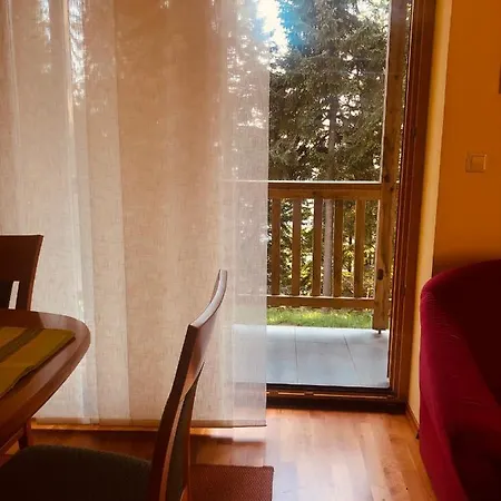 Chalet Harmony Rogla - Duplex Apartment