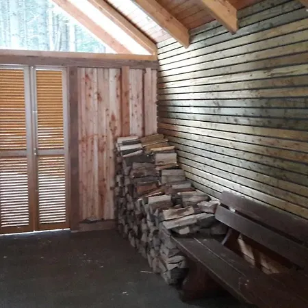 Apartment Chalet Harmony Rogla - Duplex *